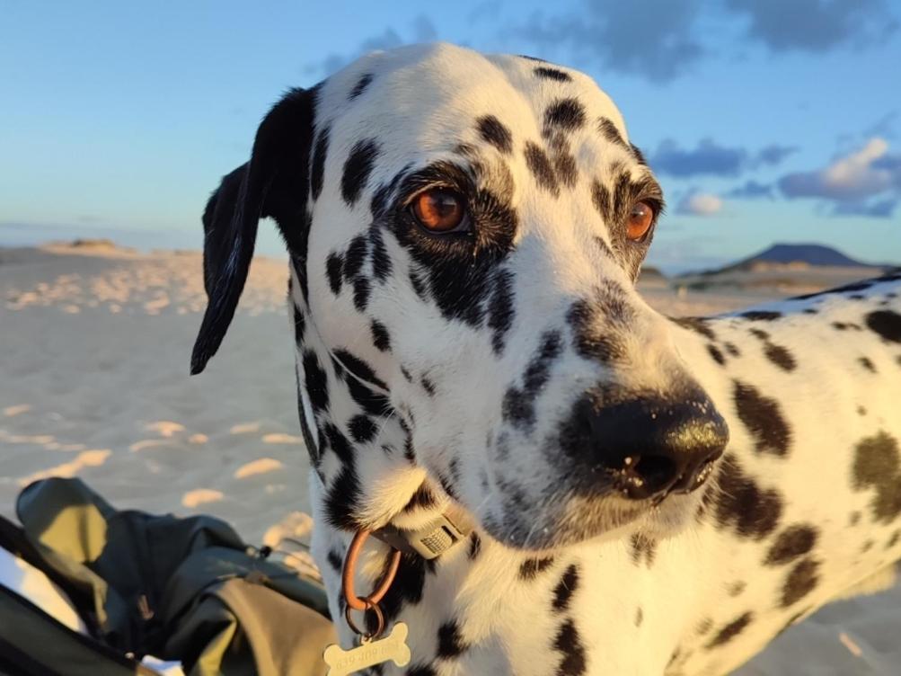 Fuerteventura Casa Tikuna La Oliva Bagian luar foto